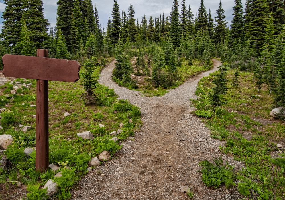 Pathway