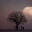 Moon and a Tree