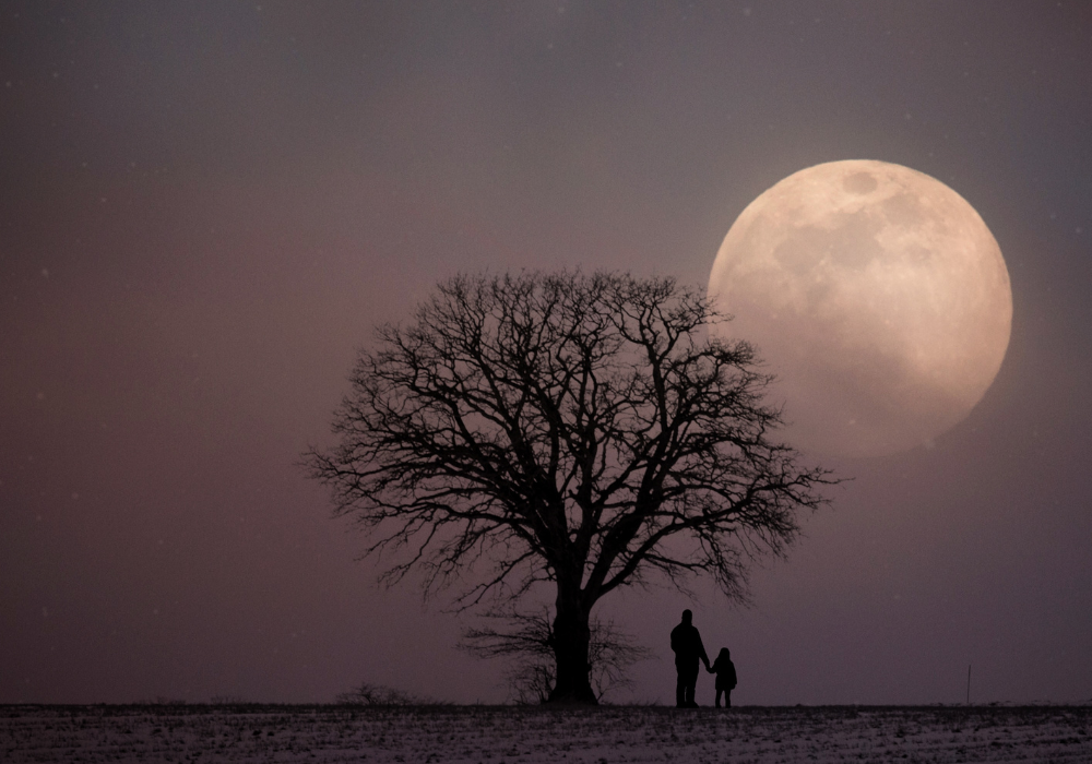 Moon and a Tree