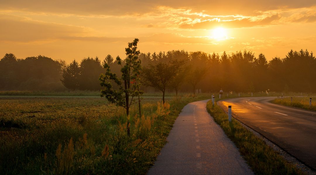 gentle sunrise over quiet road